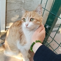 kızımıza..