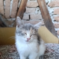 Sokağa Bı..