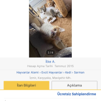Ücretsiz..