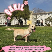 Ailesi ta..