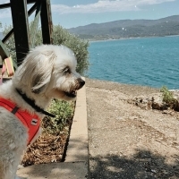 Canim Kiz..