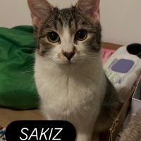 Sokak Bil..
