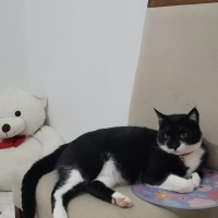 ÇOK ÜZÜLE..