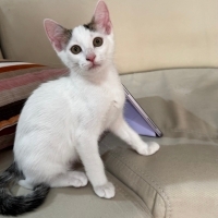Sirimiz için yuva