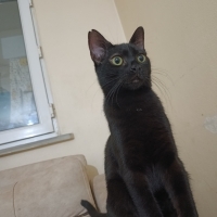 Oğlumuza..