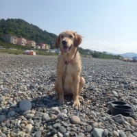 Güzel kız..
