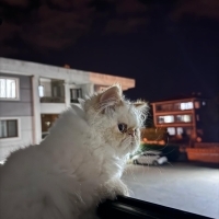 Müezzamız..