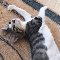 Sokağa dö..