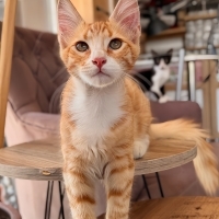 🧡 Yuvası..