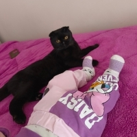 Su içeyi..