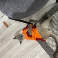 1 yaşında..