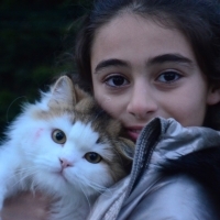 Çok uysal..