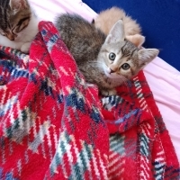 Çok tatlı..