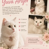 Dünya güz..