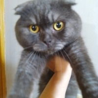 Güzel huy..