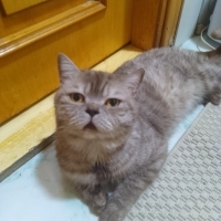 Güzel oğl..