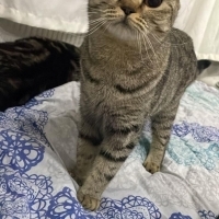 HEPSİNİ Ü..
