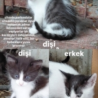 anneleri..