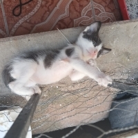 Denizli'd..