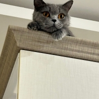 3 yaşında..