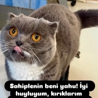 ÇİPLİ, KA..