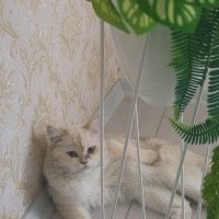 Sokakta b..
