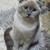 1 yaşında..