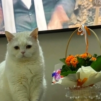 Tatlı kız..