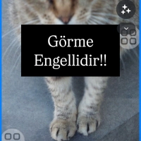 Görme eng..