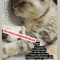 Nazlı tam..