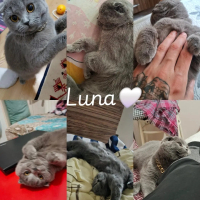 AKILLI KI..