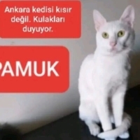 SAKIN VE..