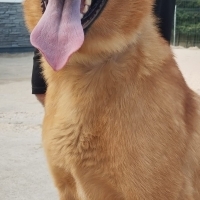 2 yaşında..