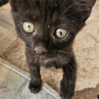 Minnak yu..