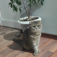 7-8 aylık..