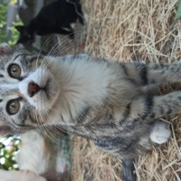 3 aylık İ..