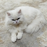 1 yaşında..