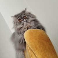 2 yaşında..