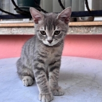 Huyu güzel kendi güzel bir çocuk