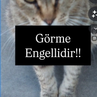 Görme eng..