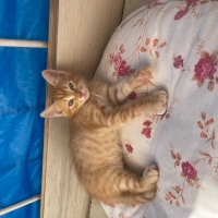 Bebeğimiz..