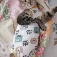 minik su yuva arıyor