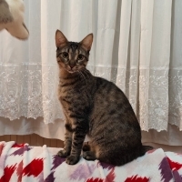 minik su..