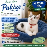 Sıcak Bir..