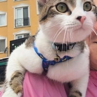 Boncuk Ço..