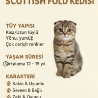 Scottish..