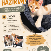 İlgi bağımlısı minik bebek
