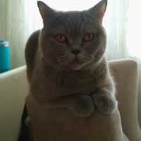 Mia kızım..