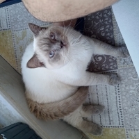 Yakışıklı..
