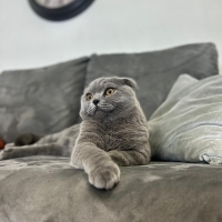 Paşa Ömür..
